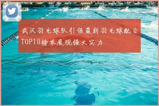 武汉羽毛球队引领最新羽毛球配合TOP10榜单展现强大实力