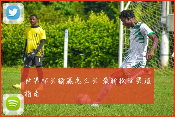 世界杯买输赢怎么买 最新投注渠道指南
