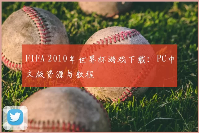 FIFA 2010年世界杯游戏下载:PC中文版资源与教程