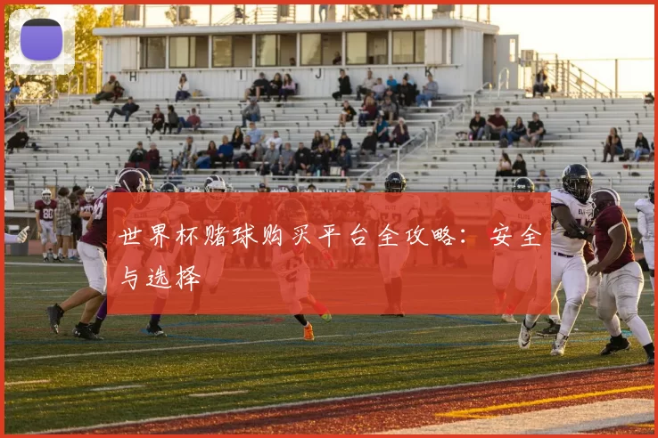 世界杯赌球购买平台全攻略：安全与选择