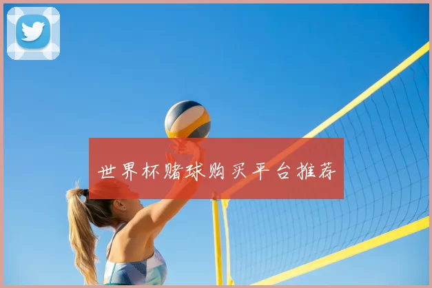 世界杯赌球购买平台推荐