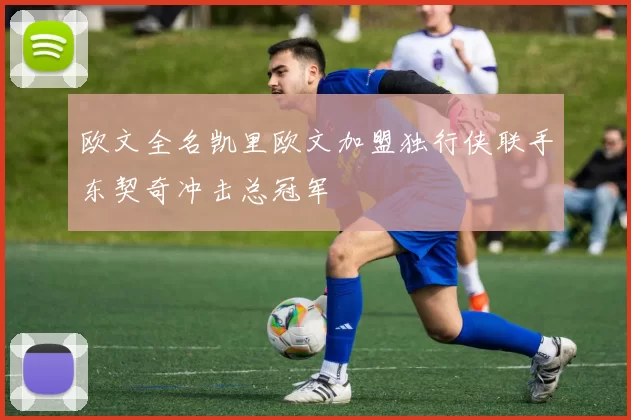 欧文全名凯里欧文加盟独行侠联手东契奇冲击总冠军