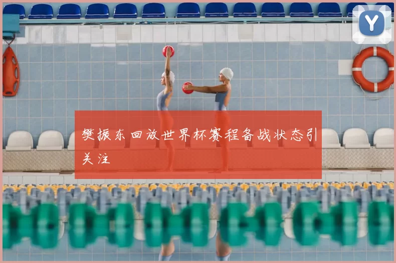 樊振东回放世界杯赛程备战状态引关注