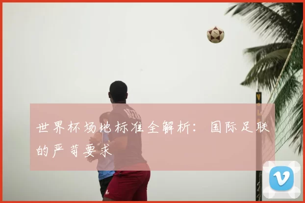 世界杯场地标准全解析：国际足联的严苛要求