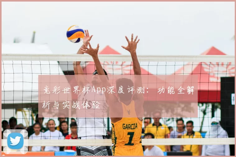 竞彩世界杯App深度评测：功能全解析与实战体验