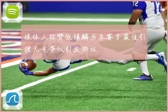媒体人称赞张镇麟为本赛季最佳引援无可争议引发热议