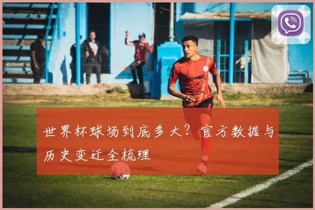 世界杯球场到底多大？官方数据与历史变迁全梳理