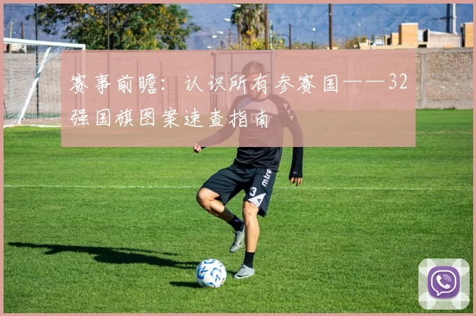 赛事前瞻：认识所有参赛国——32强国旗图案速查指南