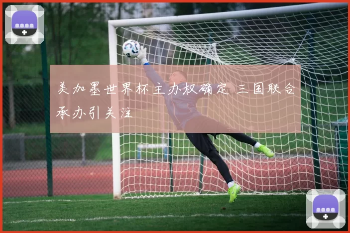 美加墨世界杯主办权确定 三国联合承办引关注