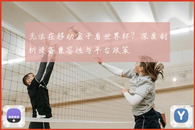 无法在移动盒子看世界杯？深度剖析设备兼容性与平台政策