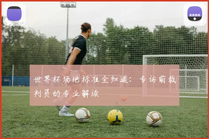 世界杯场地标准全知道：专访前裁判员的专业解读