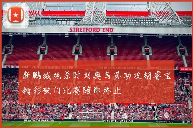新鹏城绝杀时刻奥乌苏助攻胡睿宝精彩破门比赛随即终止