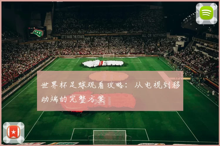 世界杯足球观看攻略：从电视到移动端的完整方案