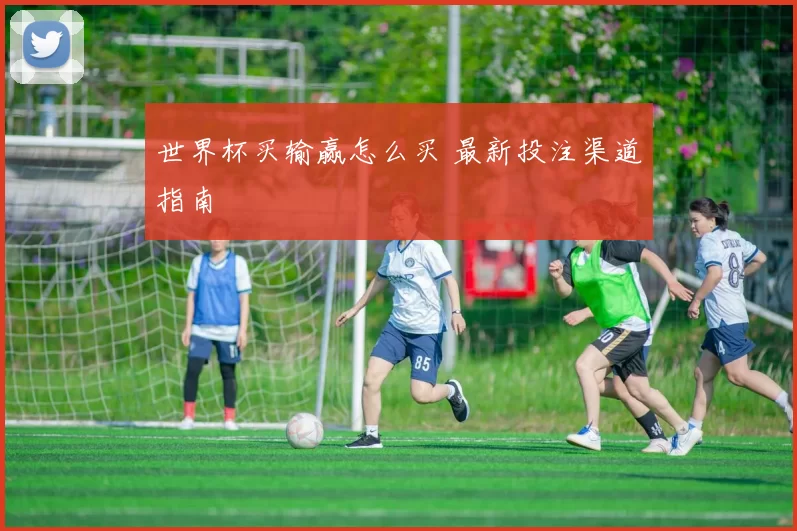 世界杯买输赢怎么买 最新投注渠道指南